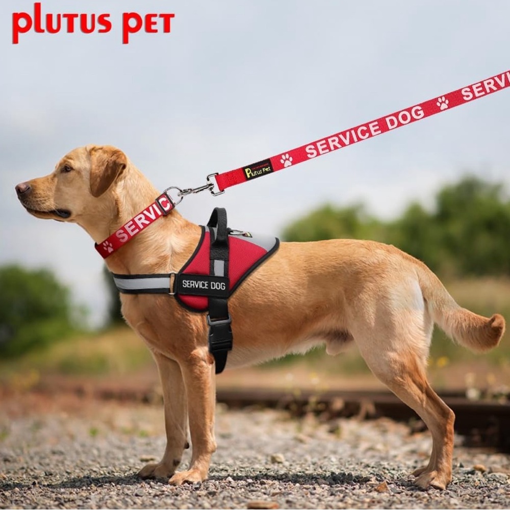 Pet service dog leash - Picture 4 of 5